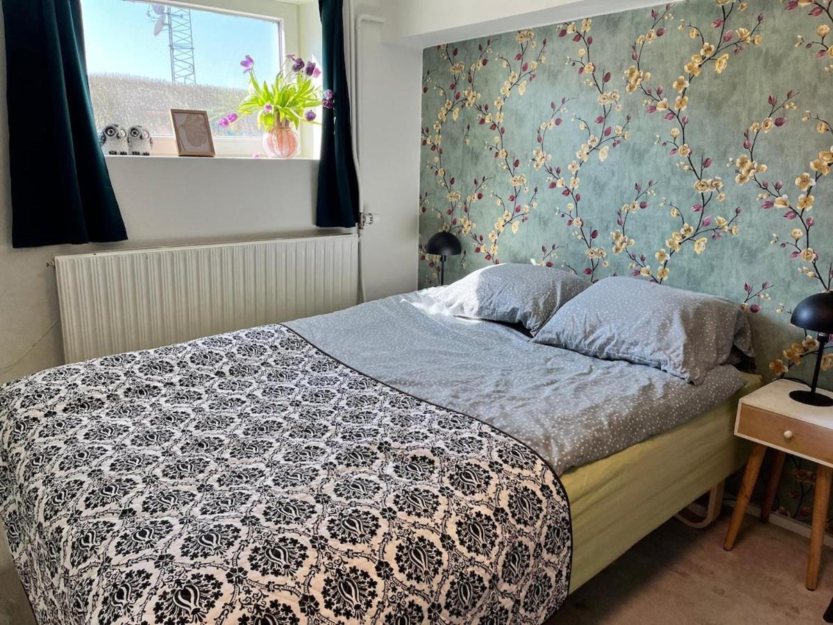 Spacious & Cozy In Tranquil Suburb Apartment *